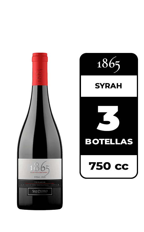 3x Vino 1865 Syrah 750cc