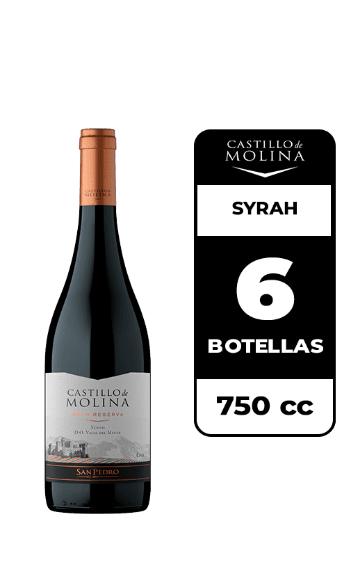 6x Vino Castillo De Molina Syrah 750cc