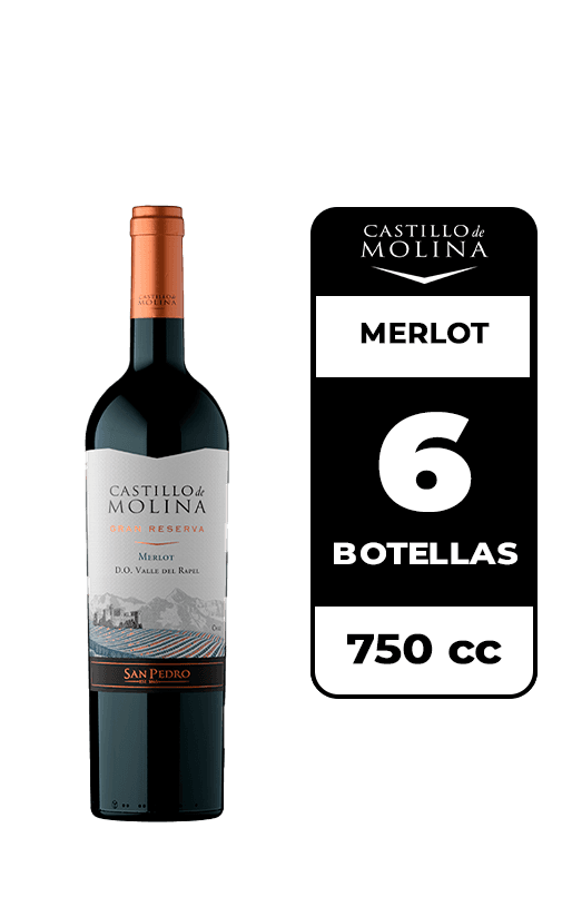 6x Vino Castillo De Molina Merlot 750cc