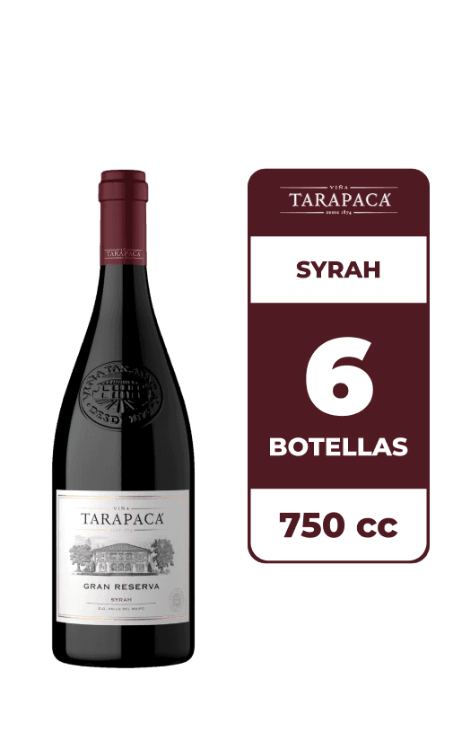 6x Vino Tarapacá Gran Reserva Syrah 750cc